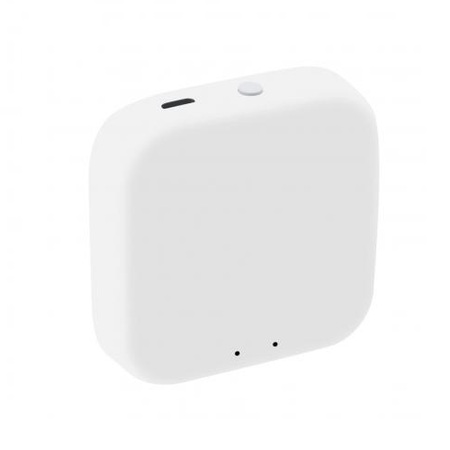 EUROSTER B1Z bramka internetowa ZigBee Tuya Smart
