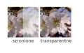 Szkło szronione i transparentne