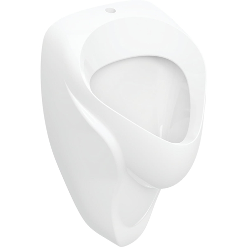 GEBERIT Pisuar ALEX, B38cm, H64.5cm, T35cm, dopływ u góry, odpływ do tyłu