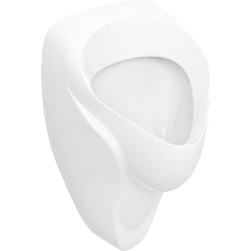 GEBERIT Pisuar ALEX, B38cm, H64.5cm, T35cm, dopływ z tyłu, odpływ do tyłu