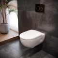 2020_Dark_Bathroom_Selnova_WC_Semi-Shrouded.jpg