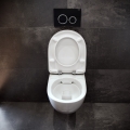 2020_Dark_Bathroom_Selnova_Wall_Hunged_WC.jpg